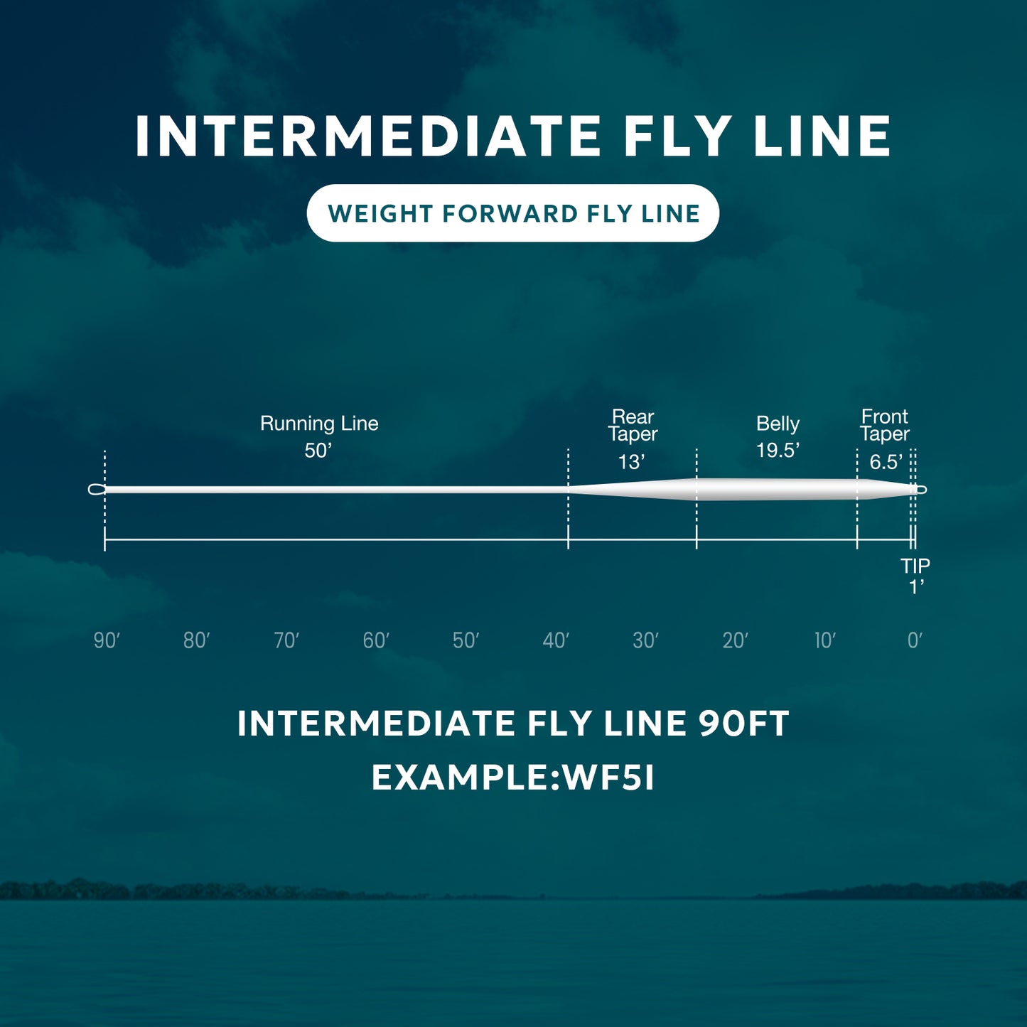 SF Mid Intermediate Fly Line 90FT WF5/6/7/8I