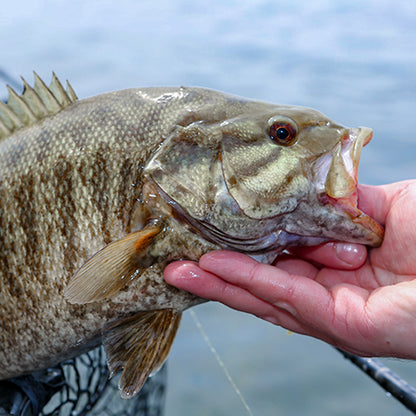 SF Pre-Tied Loop Heavy Butt Fly Fishing Bass Tapered Leader